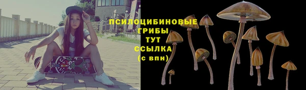 молекула духа Бородино